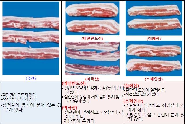 돼지고기(삼겹살, 냉동) 원산지 식별 정보