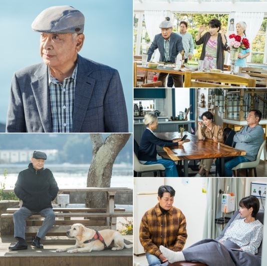 사진 제공: KBS 2TV 수목드라마 <개소리> 방송 캡처